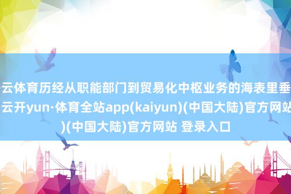 开云体育历经从职能部门到贸易化中枢业务的海表里垂死经管使命-云开yun·体育全站app(kaiyun)(中国大陆)官方网站 登录入口