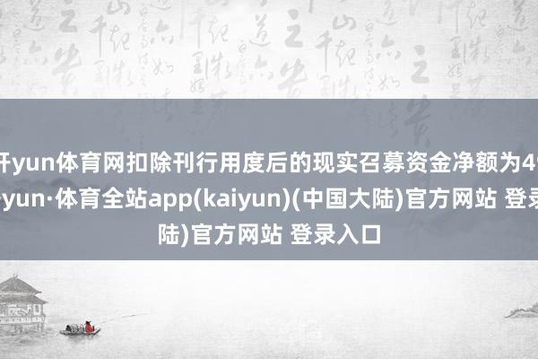开yun体育网扣除刊行用度后的现实召募资金净额为49-云开yun·体育全站app(kaiyun)(中国大陆)官方网站 登录入口
